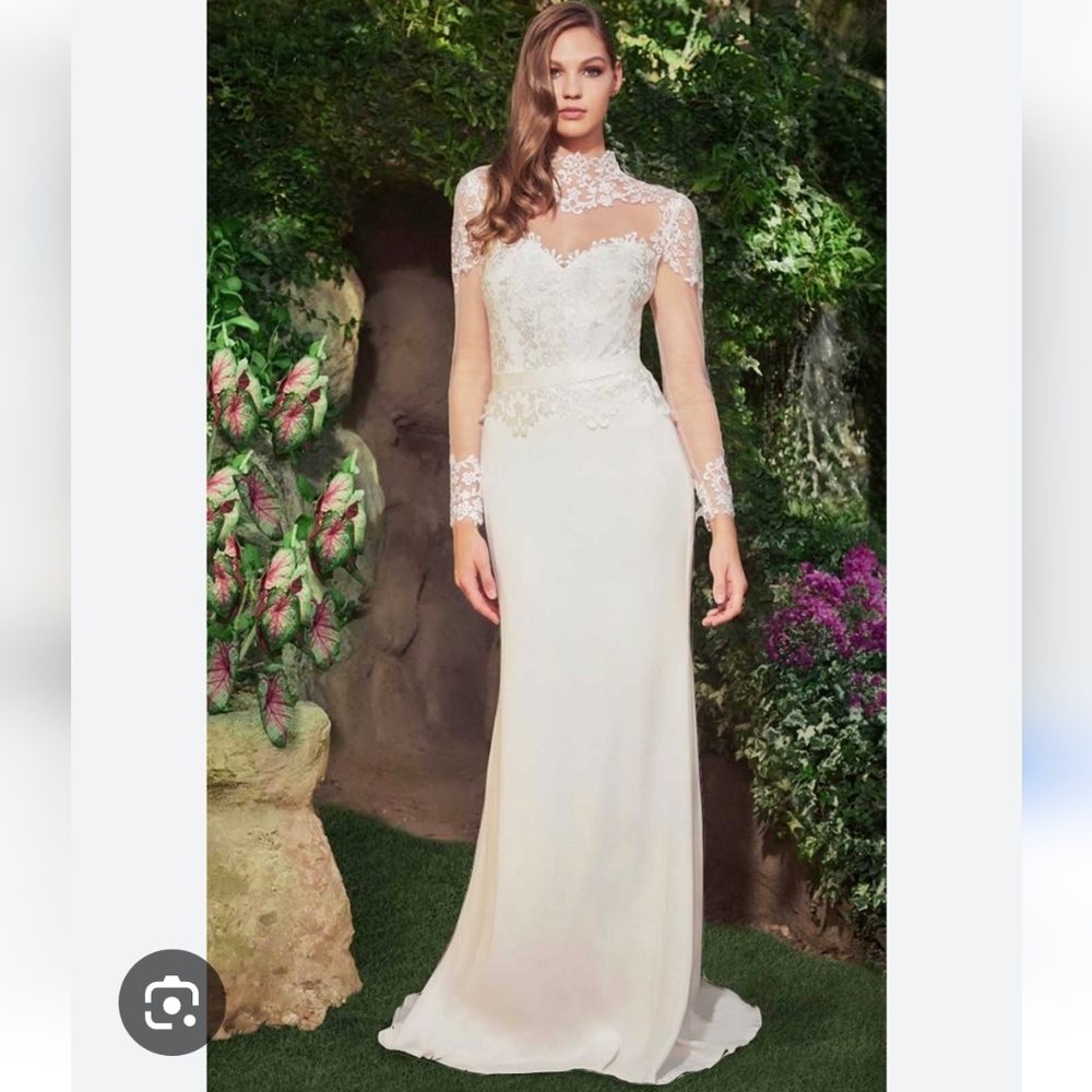 TADASHI SHOJI PRESCOTT FULL ILLUSION WEDDING GOWN - Picture 4 of 16